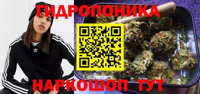 крисы Славянск-на-Кубани