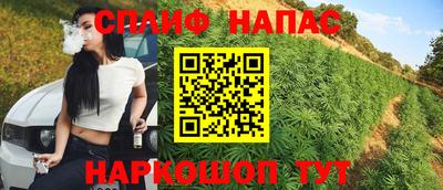 крисы Славянск-на-Кубани