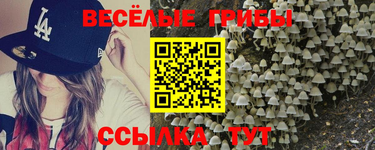купить наркотики цена  Галлюциногенные грибы мухоморы  Галлюциногенные грибы мицелий  Вход с VPN  Белорецк 