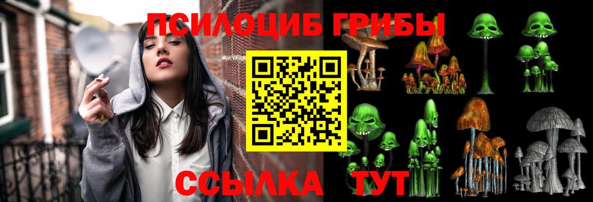 Псилоцибиновые грибы прущие грибы Белорецк